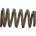 PAC RACING SPRINGS springs