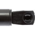 LIFTGATE LIFT SUPPORT