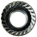 NUT FLANGE HEX M101.25