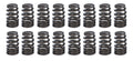 VALVE SPRING, 1.282 BEEHIVE,