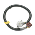 DRESSAGE (WHITE)