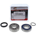 All Balls Racing 2021 Arctic Cat Blast 4000 Jack Shaft Bearing & Seal Kit Upper Shaft