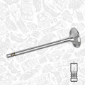 Mahle Engine Exhaust Valve 081 VA 31399 000