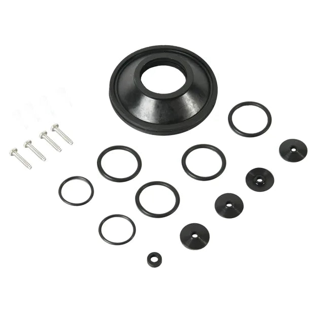 WHALE auto part