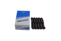 Engine Cylinder Head Bolt Set - 14-55003-01
