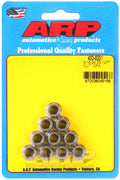 5/16-24 SS 12pt Nut Kit (10pk)