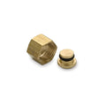 CAP PLUG NUT