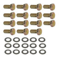 Weld Center Bolt Kit - Drag Wheels (15) Bolts 5/16-24 X 0.75 & (15) Washers
