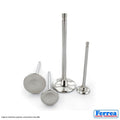 Ferrea VW 2.0T TSI F5134.9mm 5.98mm  +1mm Trpl Grv Comp Plus Int Valve - Single (Drop Ship Only)