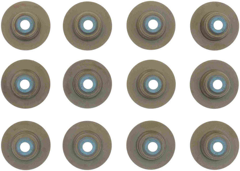 Engine Valve Stem Oil Seal Set - 12-10032-01