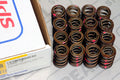 Ferrea Acura/Honda B18A1/B1 Dual Valve Spring - Single