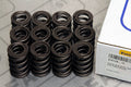 Ferrea Nissan TB45E Dual Chrome Silicon Valve Spring - Single