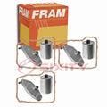 Fram air filter detail
