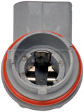 SOCKET