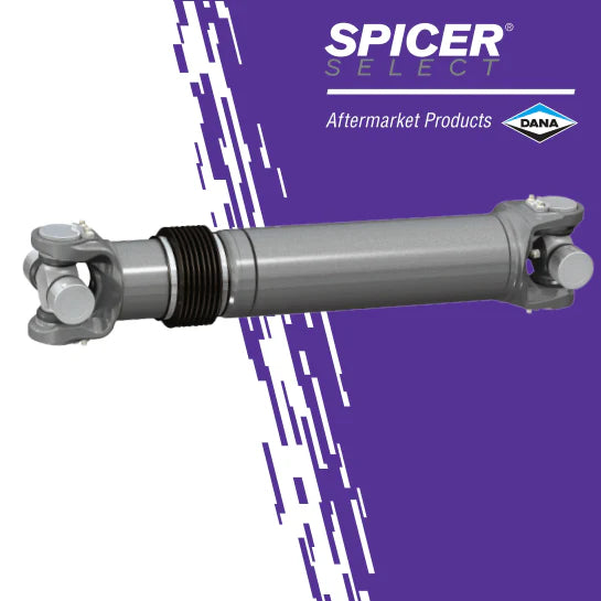Dana auto part