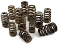 Ferrea Acura/Honda B18C1/C3 279lbs Rate Inch Dual Valve Spring - Single (Drop Ship Only)