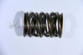 Ferrea Nissan RB25DET Dual Valve Spring - Single