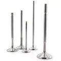 Ferrea 89-95 Yamaha FZR 1000 5 Valve Engine 26.96mm Head Dia Competition Intake Valve - Set of 12