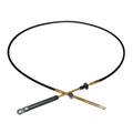CABLE JHNSN EVNRD OMC AFTR1979