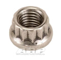 ARP 1/4-20in SS 12pt Nut Kit (10/pkg)