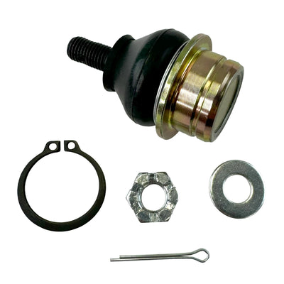 Demon Powersports auto part
