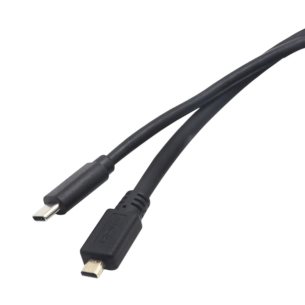 INPUT TYPE C/HDMI TO TYPE C/HDMI D EXT CABLE 3FT