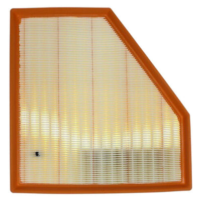 ~(0.8 lbs. 11X10X2)~ Mahle Air Filter