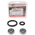 Pivot Works Kawasaki Wheel Bearing Kit Premium Bearings