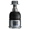 DELPHI auto part detail