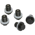 PLUGS & GASKETS (ST OF 5)