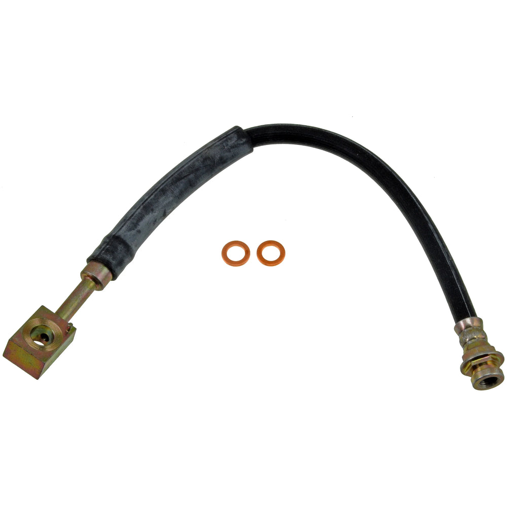HOSES