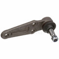DELPHI auto part detail