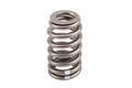 GM Performance springs
