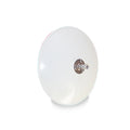 8' POLYPROPYLENE CONVEX P