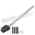 Walker Products Inc. - auto part
