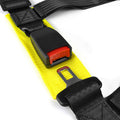 ALL ALL RACING SEAT BELT