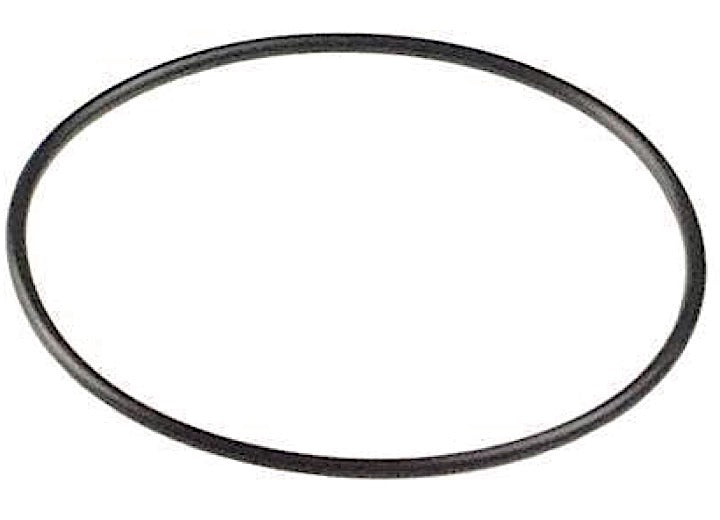 Shurflo air filter