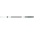 CABLE JHNSN EVNRD OMC AFTR1979