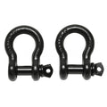Bow Shackle 3/4in with 7/8in Pin