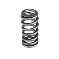 Comp Cams Valve Spring, .600 Lift