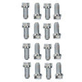 Stainless Steel Header Bolts Fits 1965-1990 Chevrolet 396-454 Big Block and 1962-2001 Ford 221-351W Mr Gasket