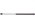 BACK GLASS LIFT SUPPORT