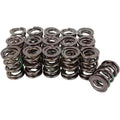 Manley SPRING-1.640 DOUBLE EA