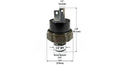 HORNBLASTERS 1/4' NPT 145-175 PSI P
