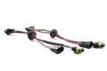 Morimoto Lighting auto part
