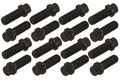 BBK Ford SBF 302 351W Exhaust Header Bolt Kit - 3/8-16 0.75in (16)