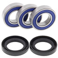 All Balls Racing Wheel Bearing Kit