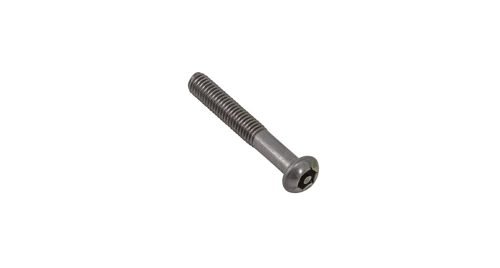 M6 x 40 S S BTN HD SECURITY SCREW (BP 6)