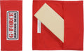 G-FORCE HARNESS PADS