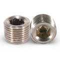 1/8IN BSPT PLUGS(2PC/PK)